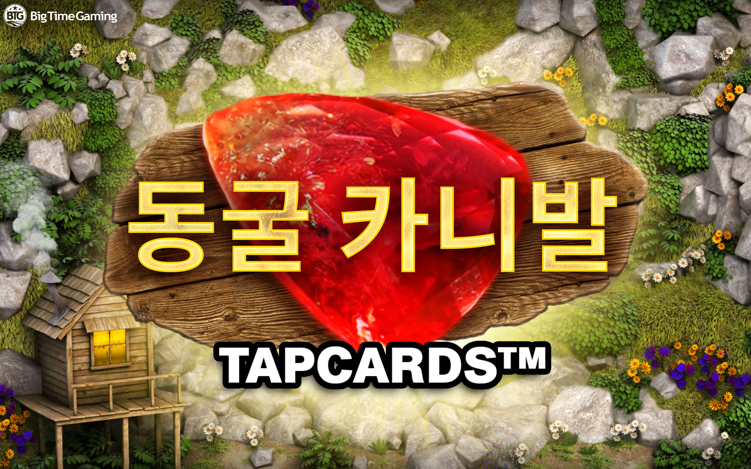 bonanza_tapcards_desktop_wallpaper_2560x1600_kor_2025_05_01.png thumbnail