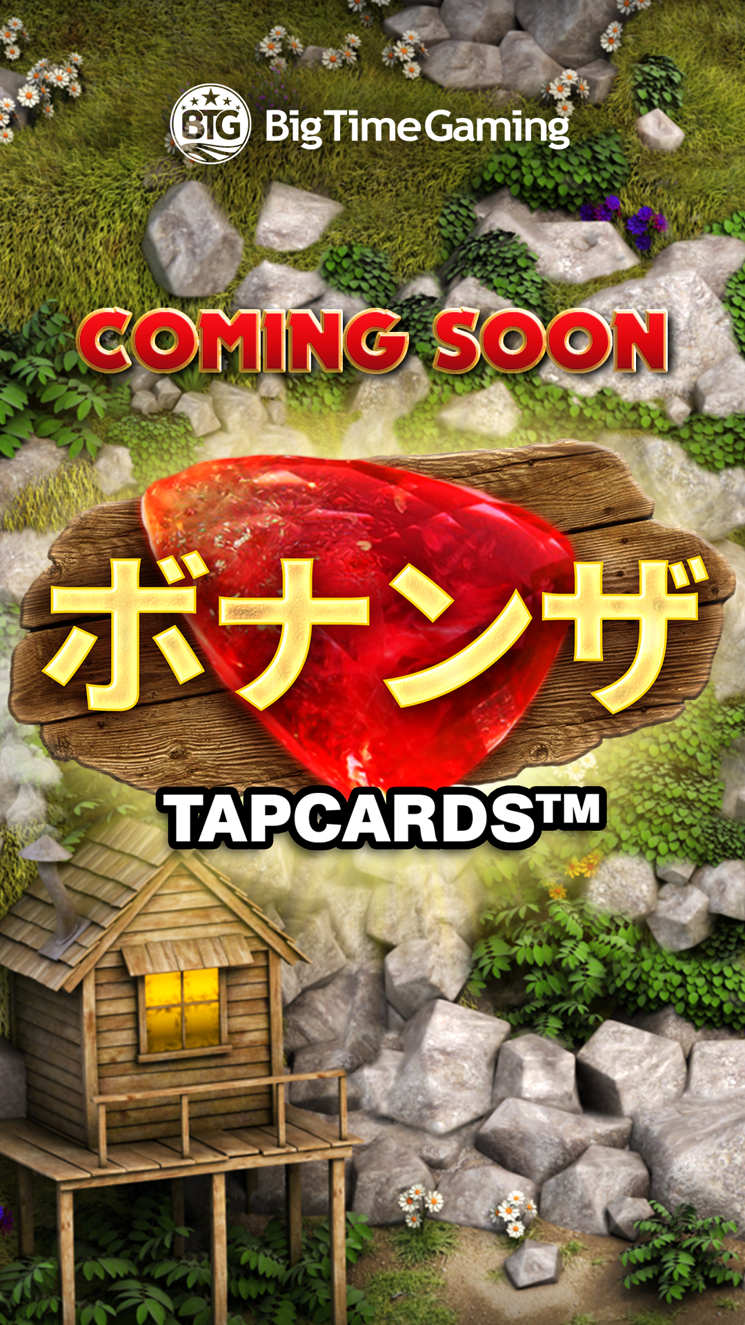 bonanza_tapcards_instagram_story_coming_soon_1080x1920_jap_2025_05_02.png thumbnail