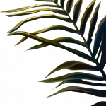 06_extra_leaves_silverbackgold.png thumbnail