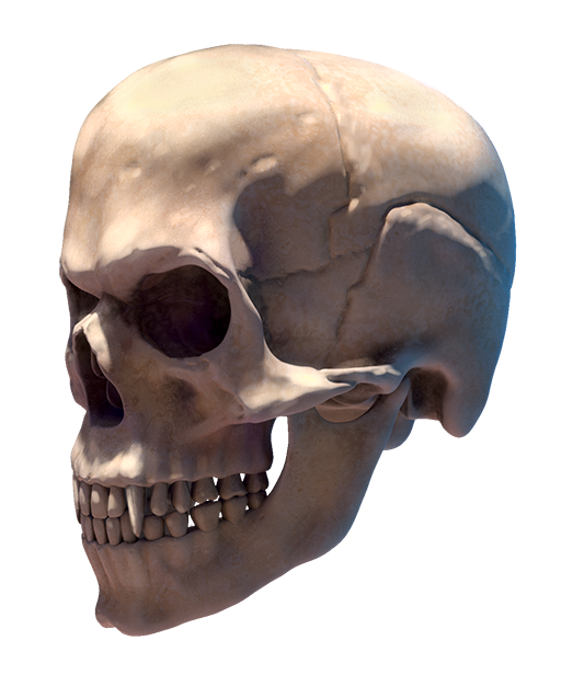 110_extra_head_side_transparent_halloween.png thumbnail