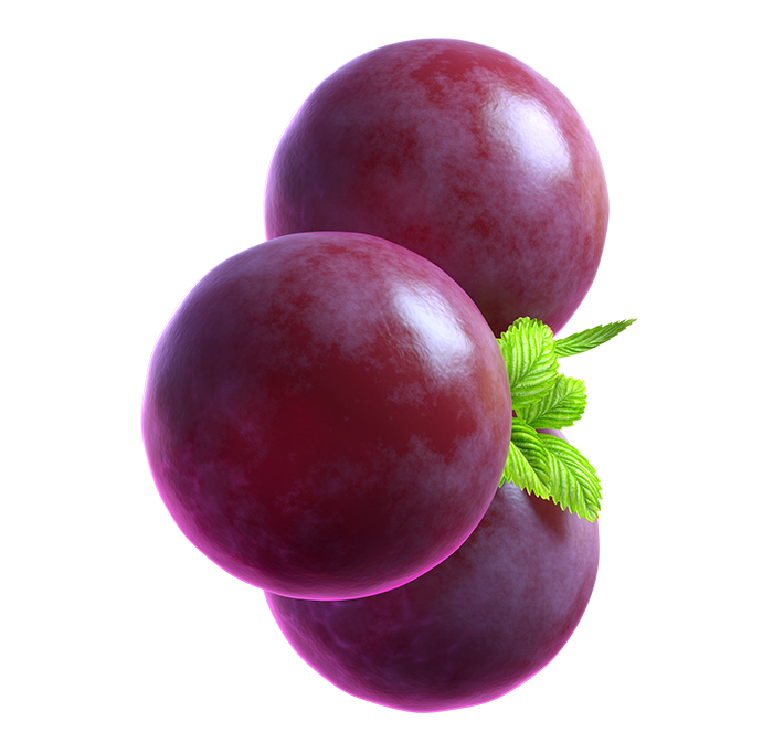02_extra_Grape_01_booster.png thumbnail