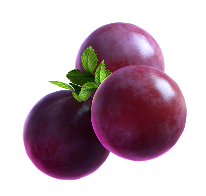 03_extra_Grape_02_booster.png thumbnail