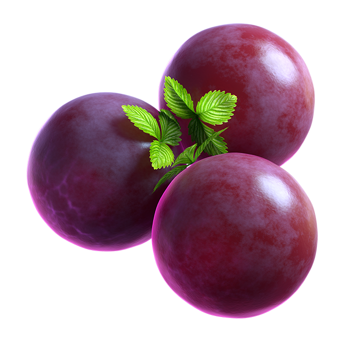 04_extra_Grape_03_booster.png thumbnail