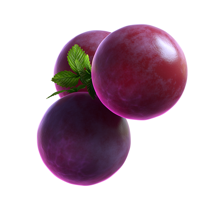 05_extra_Grape_04_booster.png thumbnail