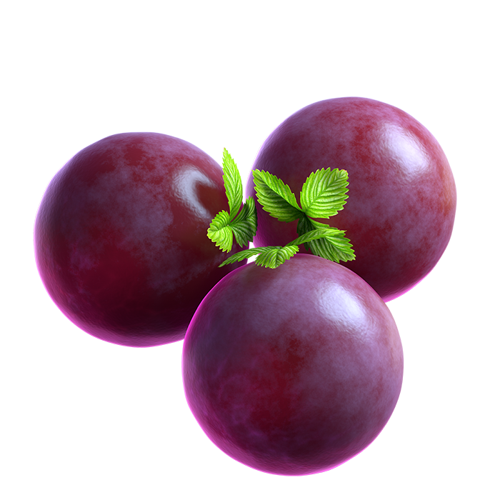06_extra_Grape_05_booster.png thumbnail