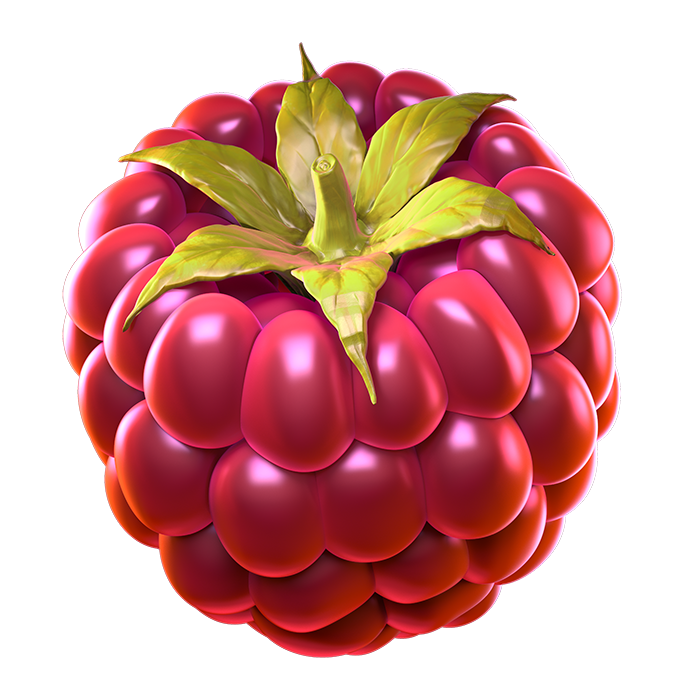 08_extraraspberry2_booster.png thumbnail