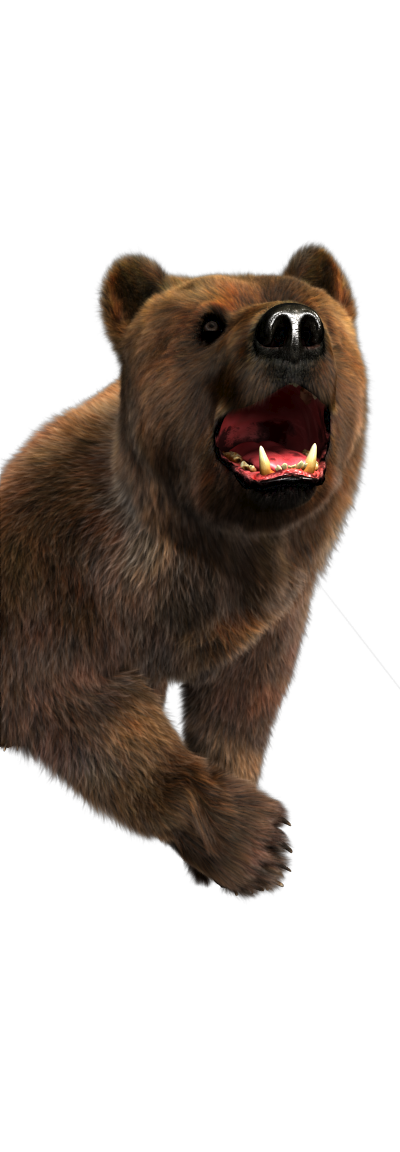 10_character_bear_jungle_smashhitbonus.png thumbnail