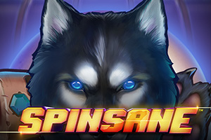 Spinsane